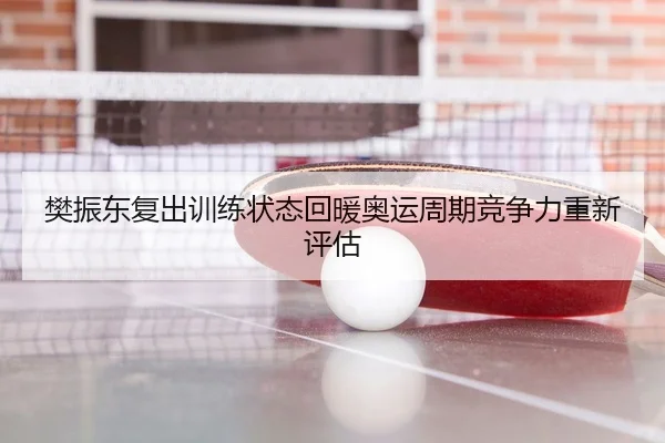 樊振东复出训练状态回暖奥运周期竞争力重新评估